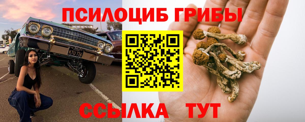 Галлюциногенные грибы MAGIC MUSHROOMS  Галлюциногенные грибы Psilocybine cubensis  Волгоград  Вход с VPN 